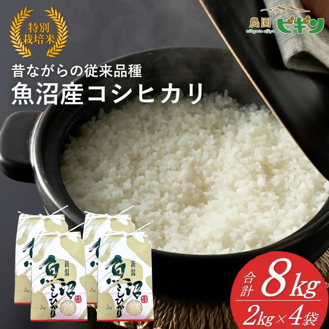 【令和8年産 先行予約】 昔ながらの魚沼産コシヒカリ 従来品種 精米 8kg（2キロ×4袋）農園ビギン | おこめ 特A評価 小千谷市 コシヒカリ