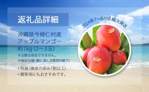 【限定50箱】比嘉さん家の千なりマンゴー(特選・1kg)【2025年