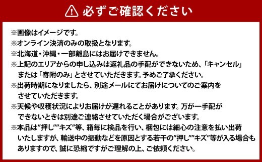 《ご家庭用》 おかやまの桃（大玉）3玉 （合計約900g）