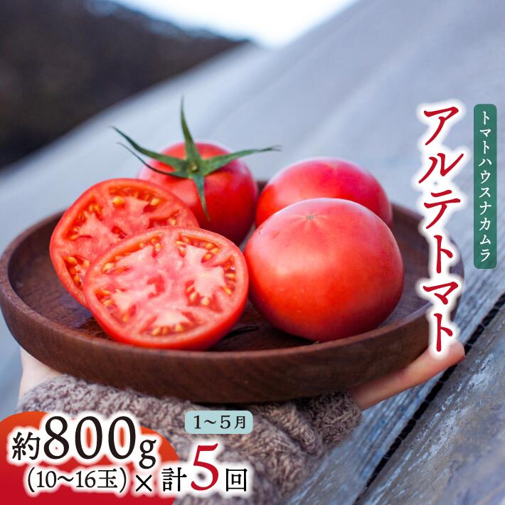 【ふるさと納税】【年5回 定期便】＜アルテトマト 約800g（10‐16玉）×5箱＞計約4kg フルーツトマト 栽培期間中化学農薬・化学肥料不使用 高知県 トマトハウスナカムラ 【常温】（2026年1～5月頃発送）