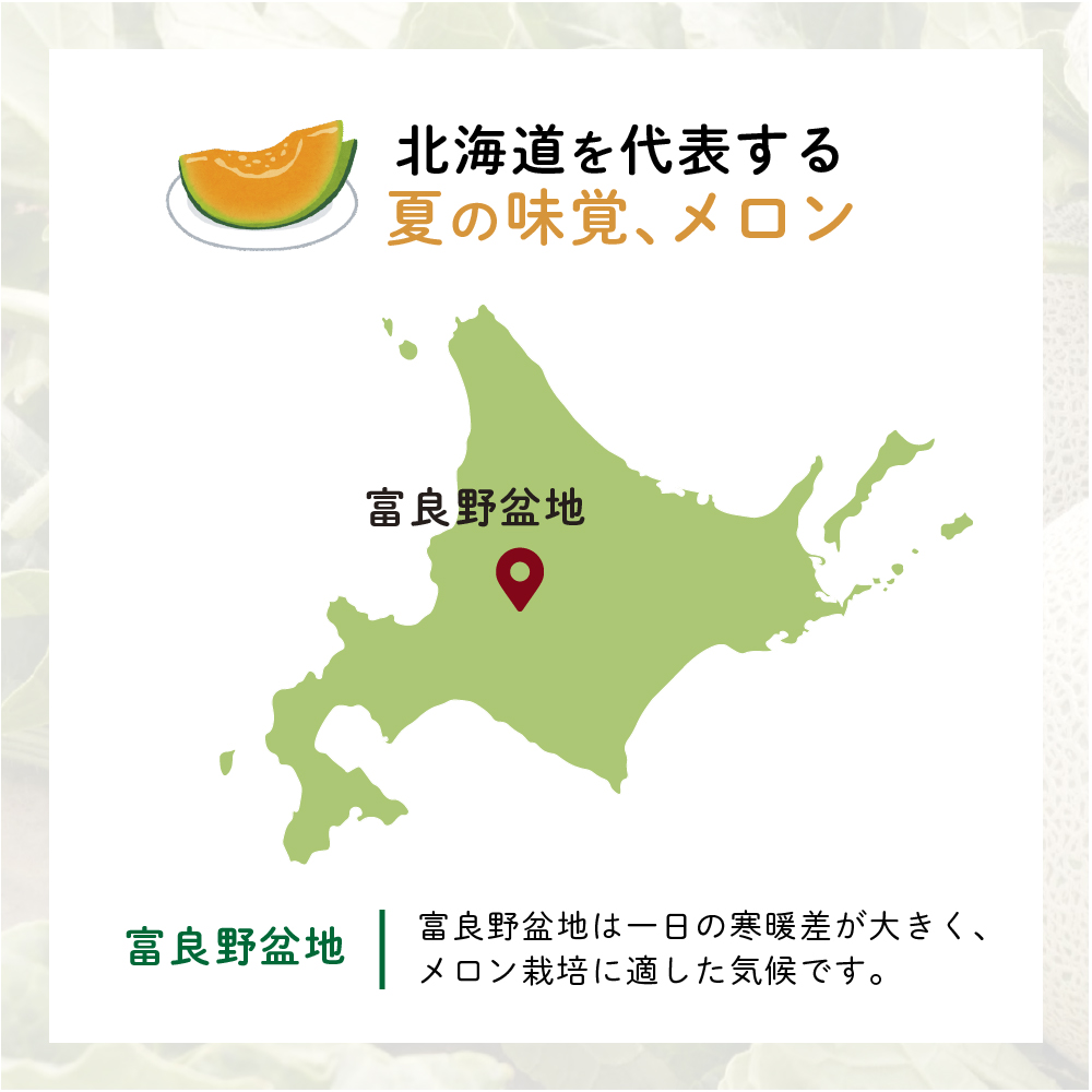 【2026年8月～発送】JAふらの 赤肉メロン 4～5玉（計8kg）富良
