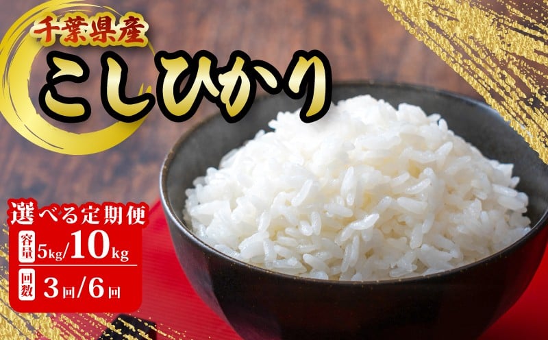 
                  千葉県産 こしひかり 5kg ~ 10kg 定期便 米 こめ ご飯 おこめ 千葉県産 ライス ブランド米 精米 白米 風味 お米 美味しいごはん おにぎり 直送 家庭用 お試しサイズ 送料無料 ギフト 贈答用 人気 おすすめ こだわり 人気米 千葉米 ふっくら 甘い つややか 朝食 昼食 夕食 お取り寄せ お裾分け ふるさと納税 ふるさと納税お米 ふるさと納税米 千葉県 銚子市 根本商店
                