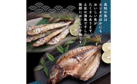 高知の海の干物たち＜高知市・南国市共通返礼品＞