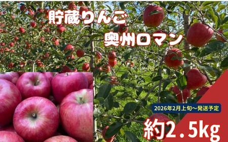 シャキ　シャキ　貯蔵りんご　奥州ロマン　約2.5㎏　スマートフレッシュ｜りんご 林檎 フルーツ 果物 奥州ロマン 貯蔵 こだわり シャキシャキ 伊那 ふるさと納税 信州 長野県