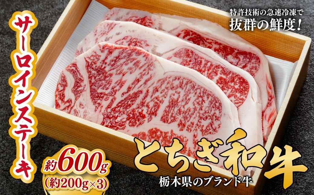 
            とちぎ和牛の厚切りサーロインステーキ 600ｇ(200ｇ×3枚)【栃木県共通返礼品】 | 牛肉 肉 お肉 厚切り サーロイン ステーキ 柔らかい 産地直送 国産 国産牛 和牛 赤身 霜降り 希少 旨味 旨み 熟成 急速冷凍 テクニカン テクニカン社 スキンパック 真空パック 真空包装 コトラミートカルチャ 栃木県 茂木町
          