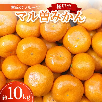 【ふるさと納税】季節のフルーツ「マル曽みかん(極早生)」約10kg【令和8年9～10月発送】【配送不可地域：離島】【1609820】