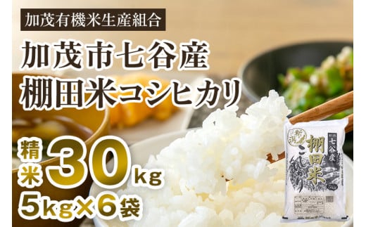 【令和7年産】新潟県加茂市 七谷産 棚田米コシヒカリ 精米30kg（5kg×6）《順次出荷》 白米 加茂有機米生産組合