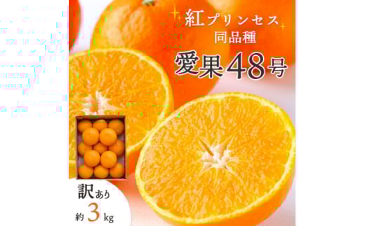 ＜2026年発送＞「紅プリンセス」と同品種!愛媛果試48号 3kg＜訳あり＞＜E25-174＞【1600644】