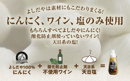 青森県産にんにく すりおろし 200g×２本 チューブ にんにく