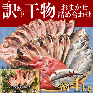 【2025年9月発送】 干物 訳あり 干物 ひもの 約4kg おまかせ 詰め合わせ 干物 セット 沼津 干物 規格外 不揃い 干物 干物 干物 干物