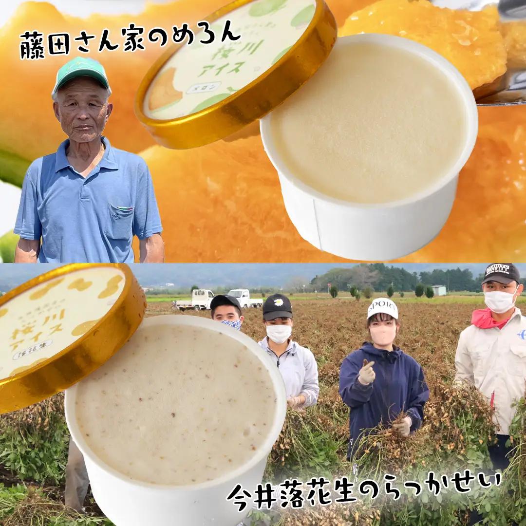 【生産者支援】桜川アイス 6種 6個 セット  数量限定 食べ比べ 90ml×6種類 桜川市のこだわり素材を使用 アイス あいす デザート スイーツ 産地限定 おやつ カップ フレーバー メロン ゆず