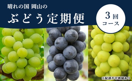 ぶどう 定期便 2027年 先行予約 晴れの国 岡山 の ぶどう定期便 3回コース