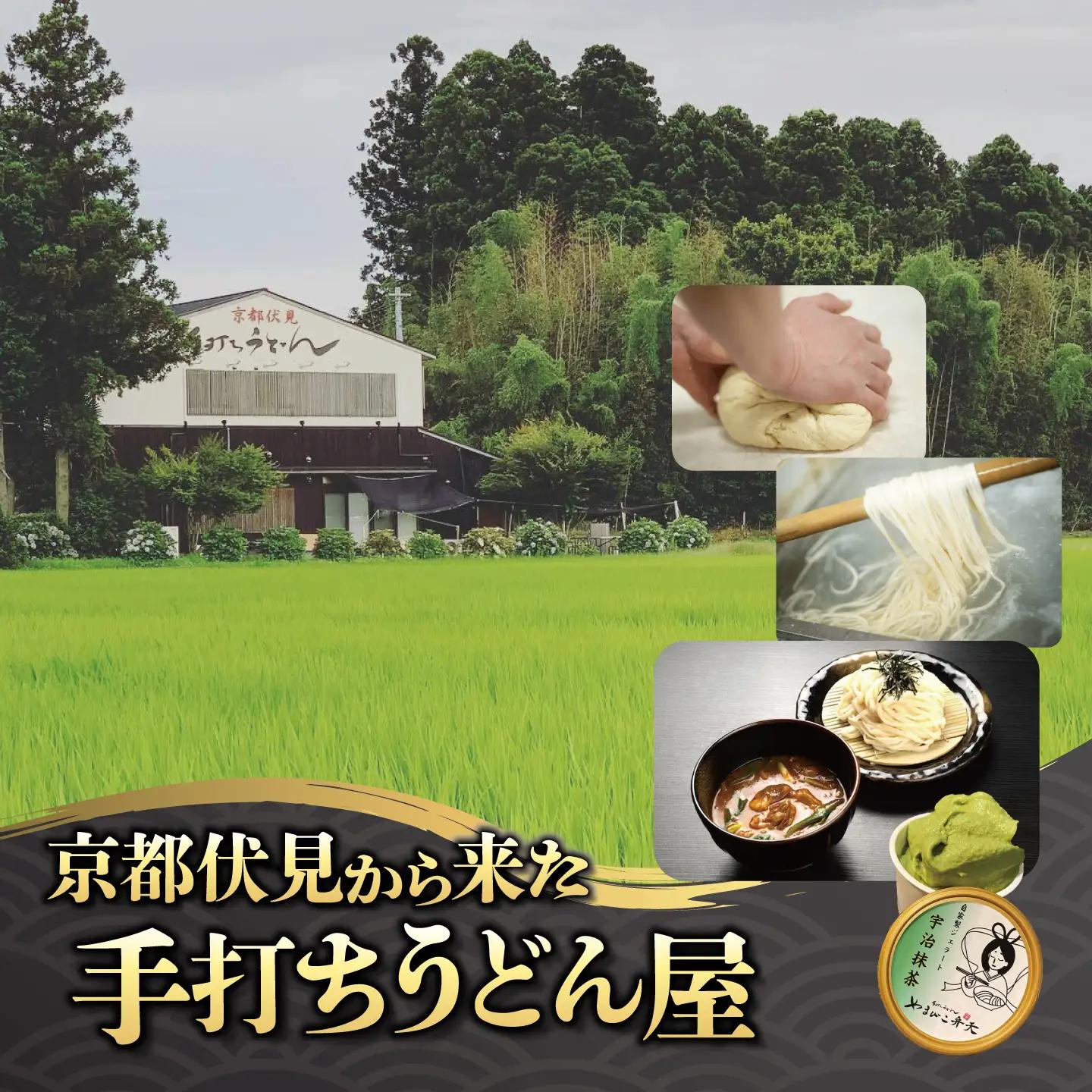 カレーうどん 2種 牛すじ 京風 2食 うどん