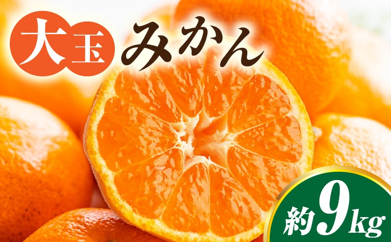 
                  【先行受付】大玉みかん約9kg | 大玉みかん 大玉 みかん ミカン 蜜柑 オレンジ 柑橘 柑橘系 果物 フルーツ 青果 おすすめ お取り寄せ ギフト 香川県 三木町  |_mk006-036
                