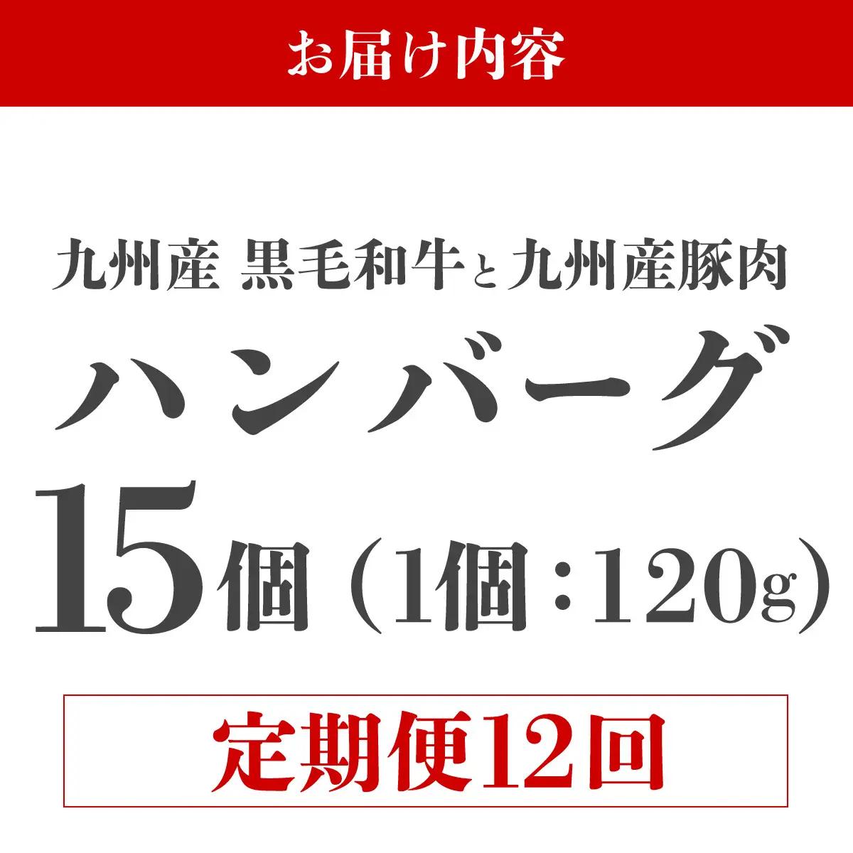 ＜定期便・全12回＞九州産黒毛和牛と九州産豚肉 ハンバーグ 15個セット