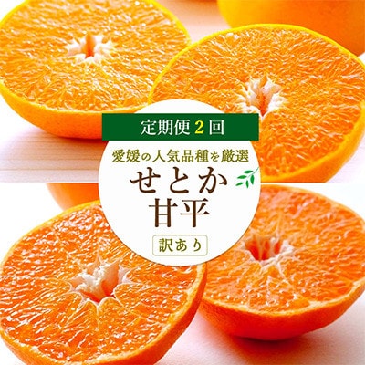 【発送月固定定期便】愛媛の人気2品種を堪能!せとか・甘平 食べ比べ【訳あり】【F25−201】全2回【4066441】