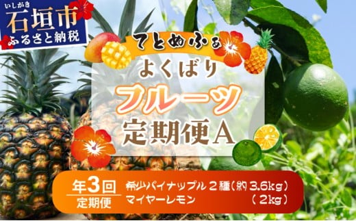 《年3回発送》パイナップル好きにおすすめ！某TV番組で紹介された希少なホワイトココとピーチパイン、マイヤーレモンの定期便 TF-066-t03
