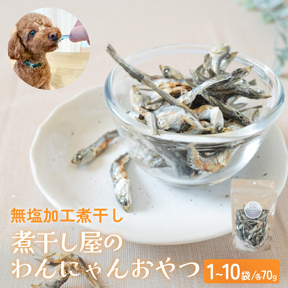 【ふるさと納税】無塩加工煮干し 煮干し屋のわんにゃんおやつ 70g×1袋-10袋 無塩 煮干し 鰯 ペットフード 人間も可 犬 猫 富山県 氷見市