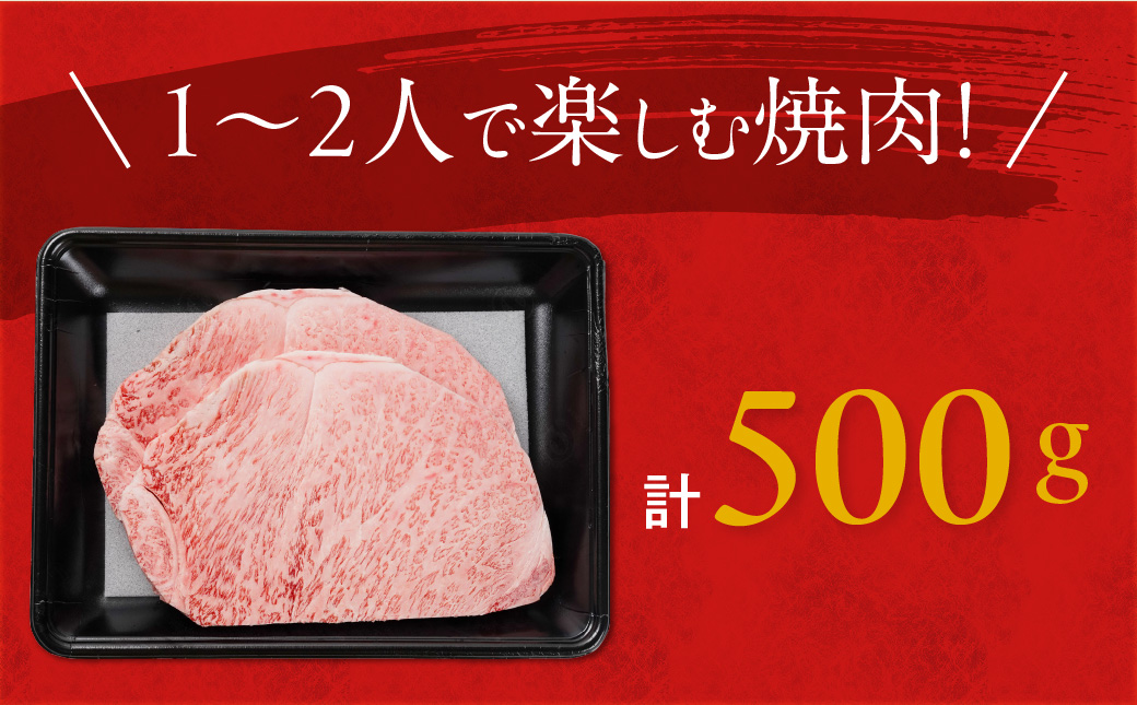 【お歳暮】宮崎牛ロースステーキ2枚 計500g≪11月17日～12月21日お届け≫_16-N203-WG