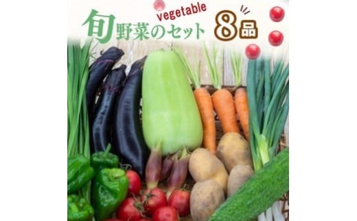 野菜  8 品目 | お楽しみ やさい セット 旬 春 夏 秋 冬 採れたて 新鮮 農家 直送 詰め合わせ 国産 季節 フレッシュ きゅうり ピーマン なす トマト 大根 白菜 高知県 須崎市 ME0