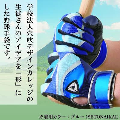 ふるさと納税 三木町 【産官学共同事業】野球手袋〜Kagawa Style〜【SHIRAYAMA〜讃岐の7富士〜Mサイズ】 |  | 02