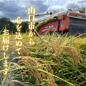 D395 農家直送！山口市産「きぬむすめ」精米5kg