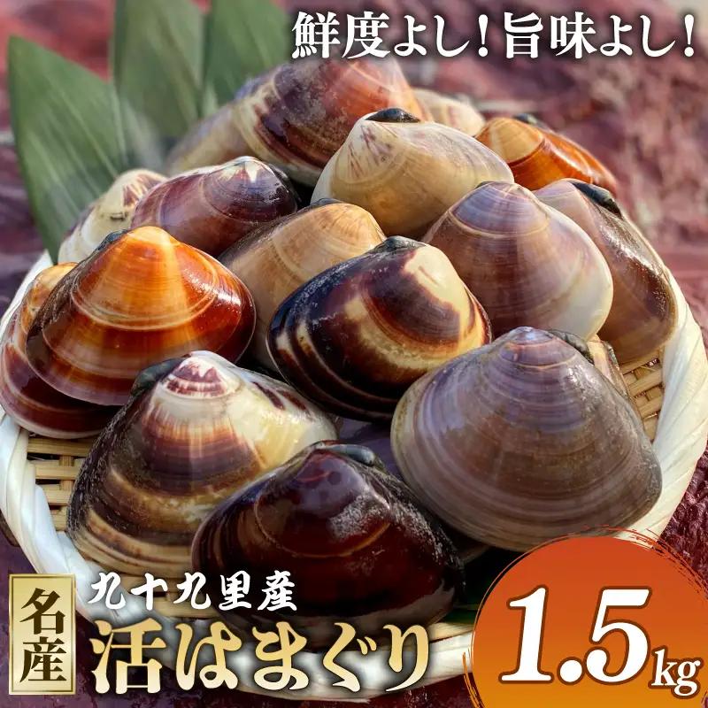 活はまぐり 約1.5kg 【 はまぐり 】