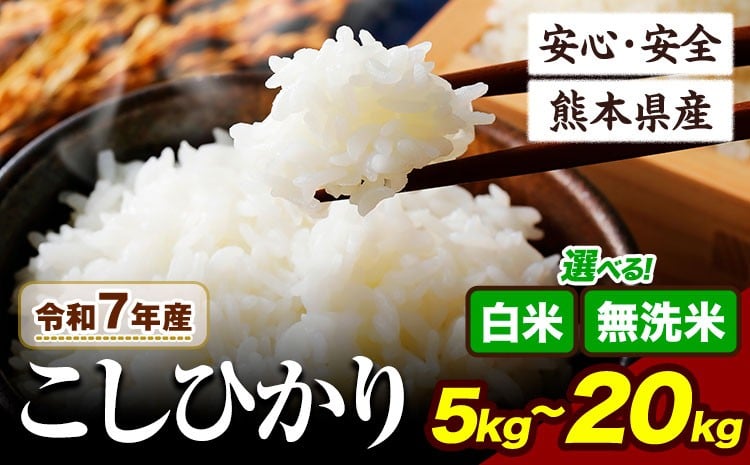 
            令和7年産 無洗米 も選べる こしひかり 5kg 10kg 20kg 定期便 も選べる《7-14日以内に出荷予定(土日祝除く)》令和7年産 熊本県産 ふるさと納税 無洗米  白米 精米 ひの 米 こめ ふるさとのうぜい コシヒカリ コメ お米 おこめ
          
