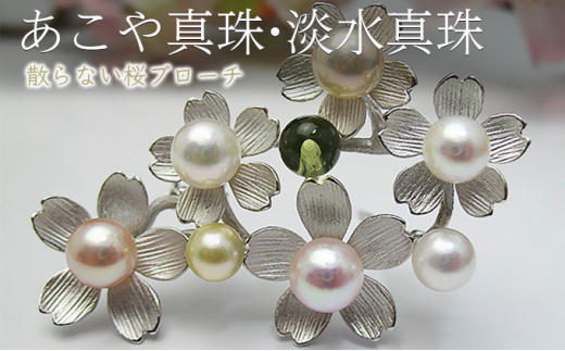 fromseaの散らない桜ブローチNo.2　あこや真珠・淡水真珠