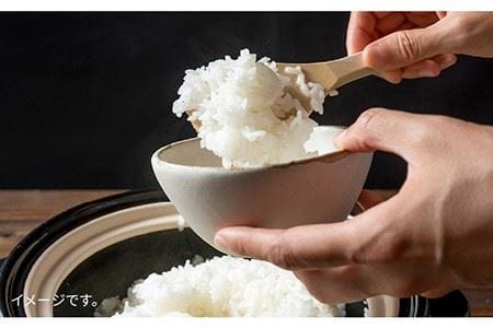 とくべつの中のとくべつ 糸島特別栽培米5kg（夢つくし）《糸島》【株式会社やました】 [ARJ008]