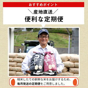 【12回定期便】5kg×12回 計60kg 京都丹波米 きぬひかり 訳あり 定期便 米 5kg 12ヶ月 白米 ※精米したてをお届け ※北海道・沖縄・離島への配送不可《緊急支援 米・食味鑑定士 厳選 