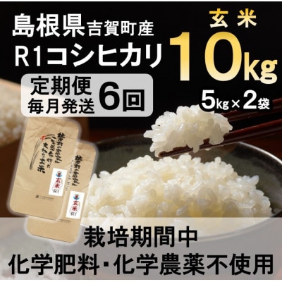 【毎月定期便】栽培期間中化学肥料・化学農薬不使用 R1米コシヒカリ10kg(玄米)全6回