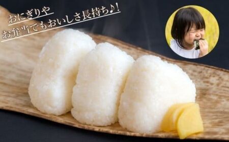 【先行予約】 令和8年産 小松市産こしひかり 精米 10kg 【JA小松市】