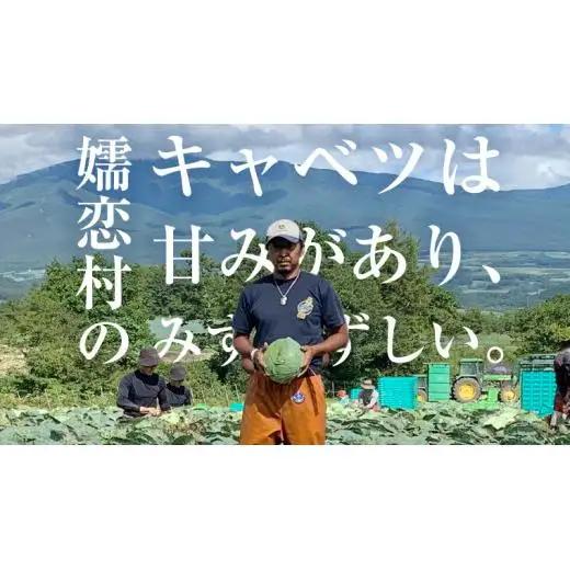 ＜レビューキャンペーン開催中＞【7月中旬発送開始】 嬬恋キャベツ 定期便 嬬恋産 高原 キャベツ 4玉 1ケース  3ヶ月連続 Lサイズ 先行予約 2026年発送 [AS004tu]
