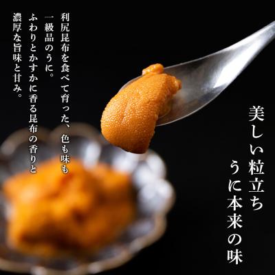 ふるさと納税 千歳市 【2025年6月より発送】赤利尻 生うに お試しミニざる エゾバフンウニ 60g |  | 01