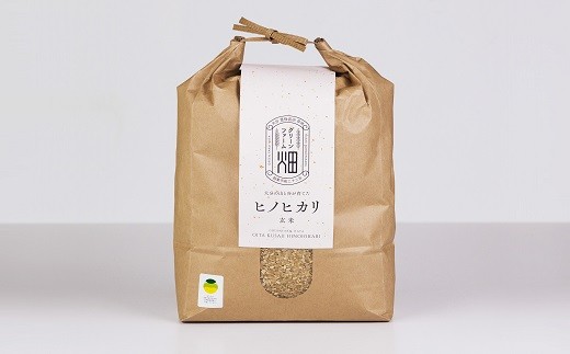 米 (令和7年産) 玄米 大分の山と谷が育てたヒノヒカリ（玄米・5kg） 米 お米 玄米 ひのひかり ご飯 おこめ