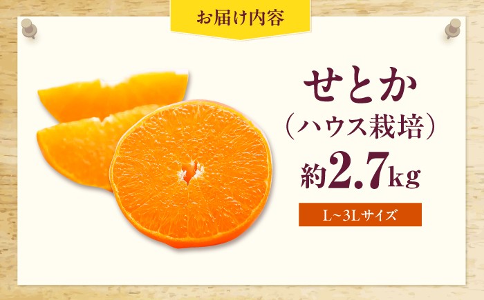 柑橘 蜜柑 みかん ミカン みかんジュース せとか 甘い 愛媛 贈答 果物