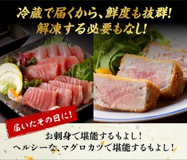 漁協直送！キハダマグロブロック（生）1kg【魚介類 鮮魚 鮪 刺身 漬け 新鮮 冷蔵 魚 海の幸】