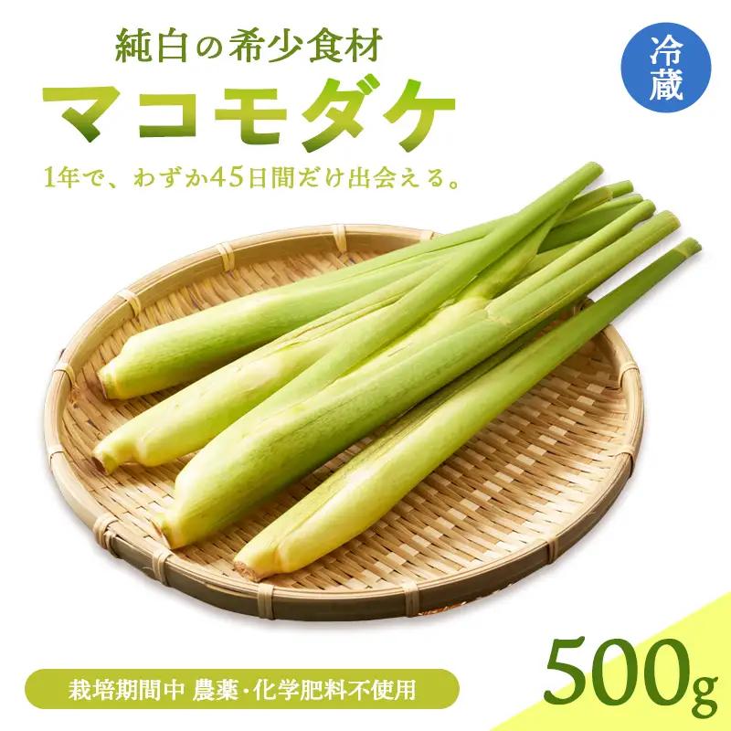 マコモダケ 500g | 栽培期間中農薬不使用