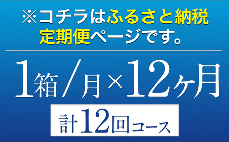 12ヶ月定期便 “九州熊本産”オールフリー１ケース（350ml×24本）阿蘇の天然水100％仕込 ノンアルコール 熊本県御船町《お申込み月の翌月から出荷開始》 定期便 定期 計12回 