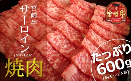 ＜宮崎牛＞サーロイン焼肉600g ※90日以内出荷【E120】