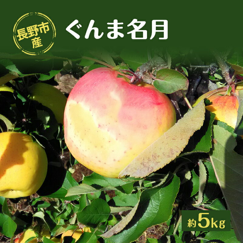 【ふるさと納税】長野市産「ぐんま名月」約5kg 　お届け：2025年11月中旬～下旬