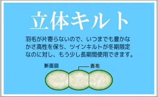 【掛け布団】【プレミアムゴールドラベル】コウダ種ポーランドマザーグース95％羽毛掛け布団（クイーン：210cm×210cm）【羽毛ファクトリーすやすや】