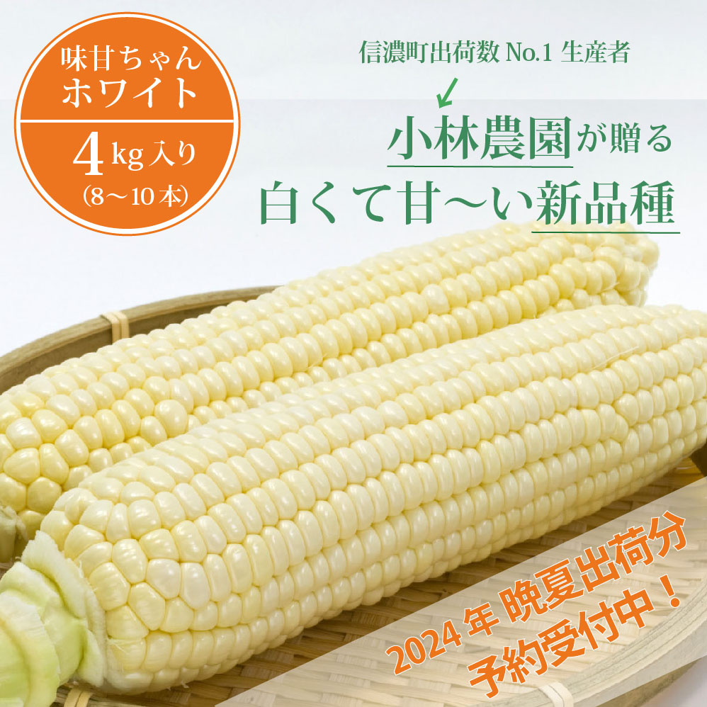 【9月上旬～9月下旬出荷】小林農園の白くて甘いとうもろこし『味甘ちゃんホワイト（みかんちゃんほわいと）』4kg入り（8～10本セット）／スイートコーン注目品種を予約受付中！ 【長野県信濃町ふるさと納税】