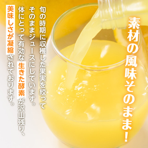 i990-A 河内晩柑ジュース(180ml×5本) 飲料 ジュース みかん 蜜柑 果汁 100% 河内晩柑 無着色 無香料 ストレートジュース 安心安全 ギフト 贈り物 贈答【江崎果樹園】