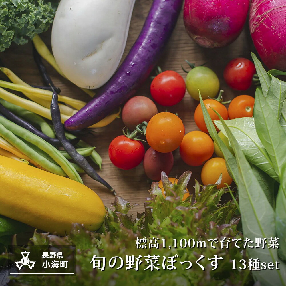 【ふるさと納税】あとくら農園 旬の野菜ぼっくす13種セット| 野菜 新鮮 旬 新鮮 高原野菜 根菜 【 2026年発送 先行予約 】
