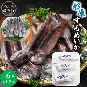 復興支援 船凍スルメイカ 約1,2kg 6杯 イカ