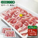 【ふるさと納税】【訳あり】【月1回1.3kg×3回定期便】大西海SPF豚 肩ロース（焼肉用）計3.9kg＜大西海ファーム＞ [CEK090]