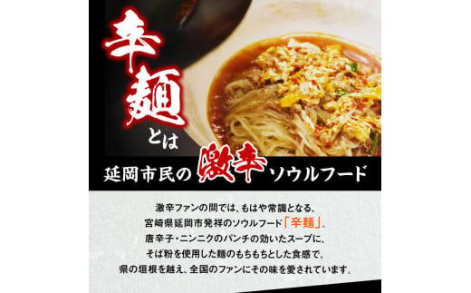 辛麺Cセット N040-YC809
