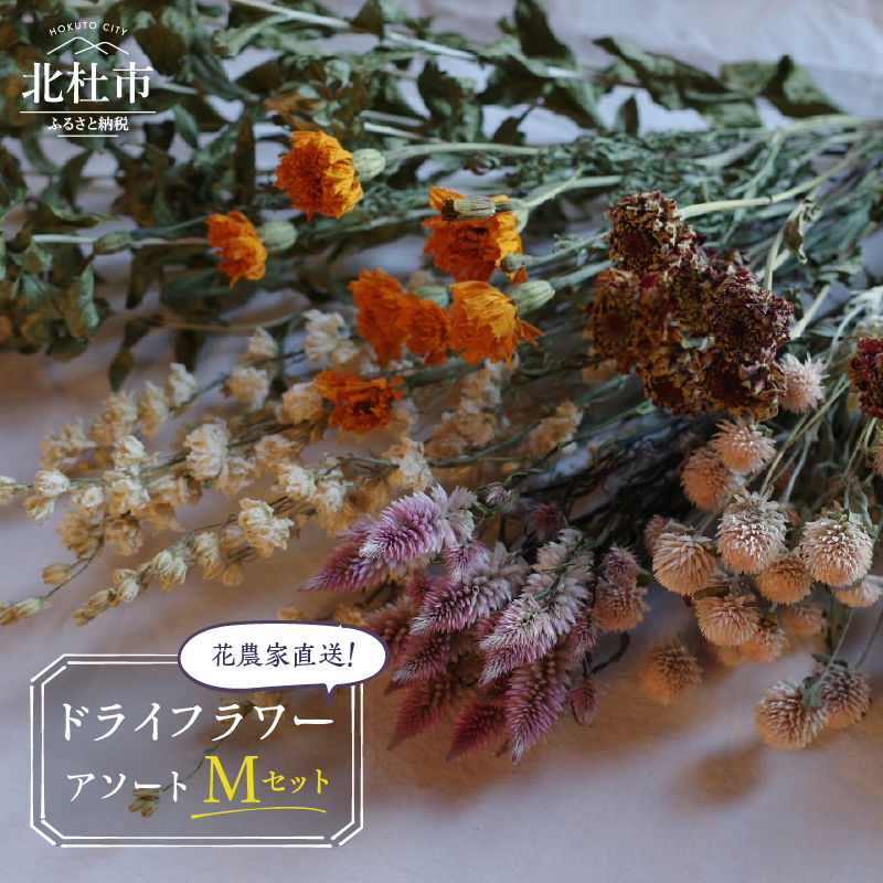 花農家直送！ドライフラワー アソートMセット